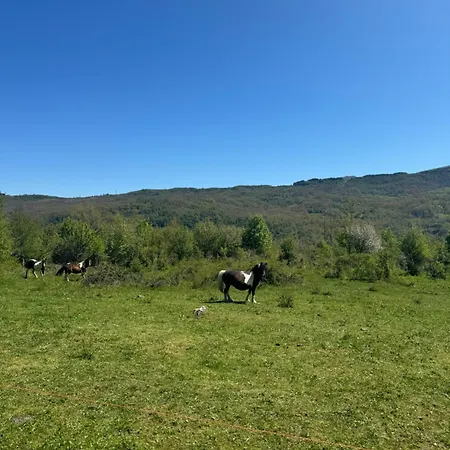 Lägenhet Casa Di Nonno Agostino *