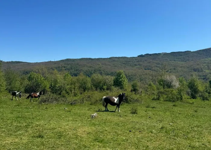 Lejlighed Casa Di Nonno Agostino *